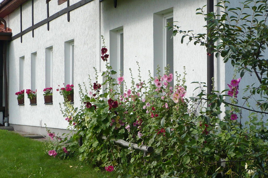 Dylewianka Villa Wysoka Wies Exterior photo